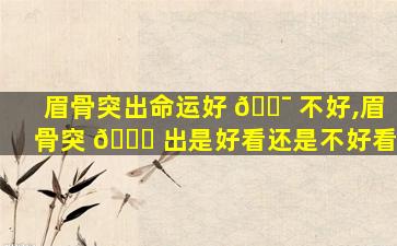 眉骨突出命运好 🐯 不好,眉骨突 🐕 出是好看还是不好看
